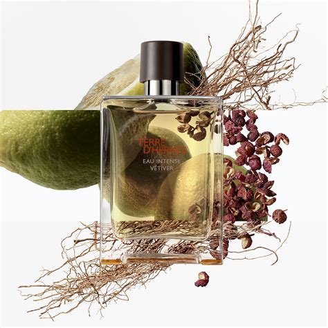 fragrantica hermes terre d hermes vetiver|terre d hermes price.